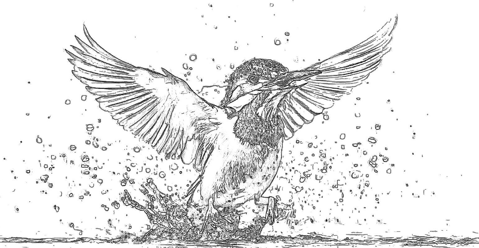 Foto in eine fliegende Vogel-Linienzeichnung umwandeln